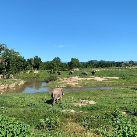 I Love Phants Lodge Ban Huai Thawai Zewnętrze zdjęcie