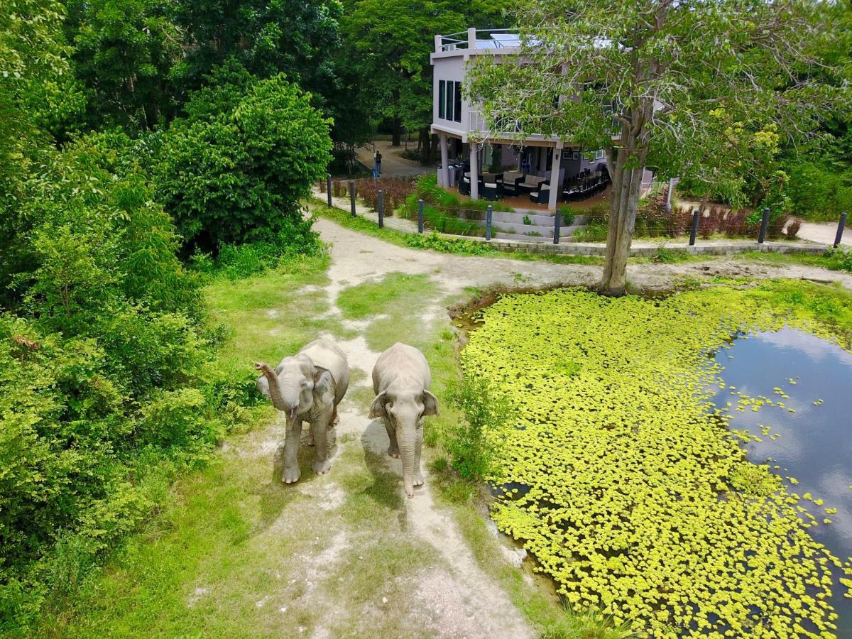 I Love Phants Lodge Ban Huai Thawai Zewnętrze zdjęcie