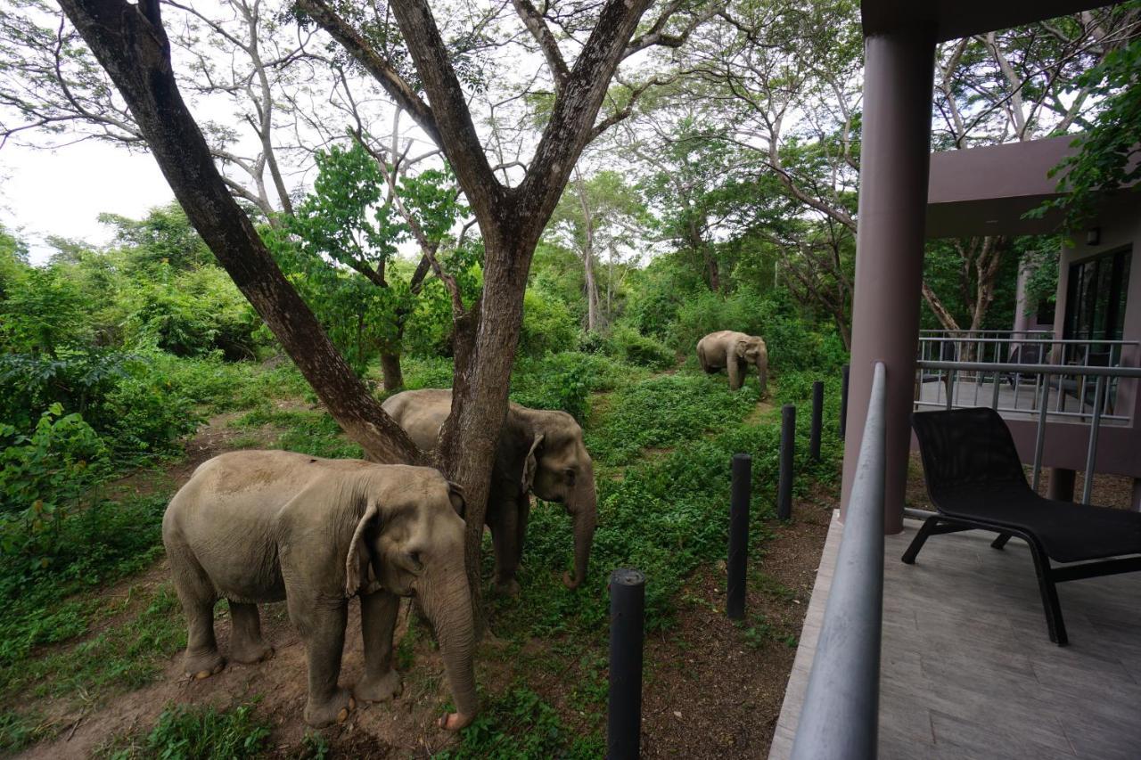 I Love Phants Lodge Ban Huai Thawai Zewnętrze zdjęcie