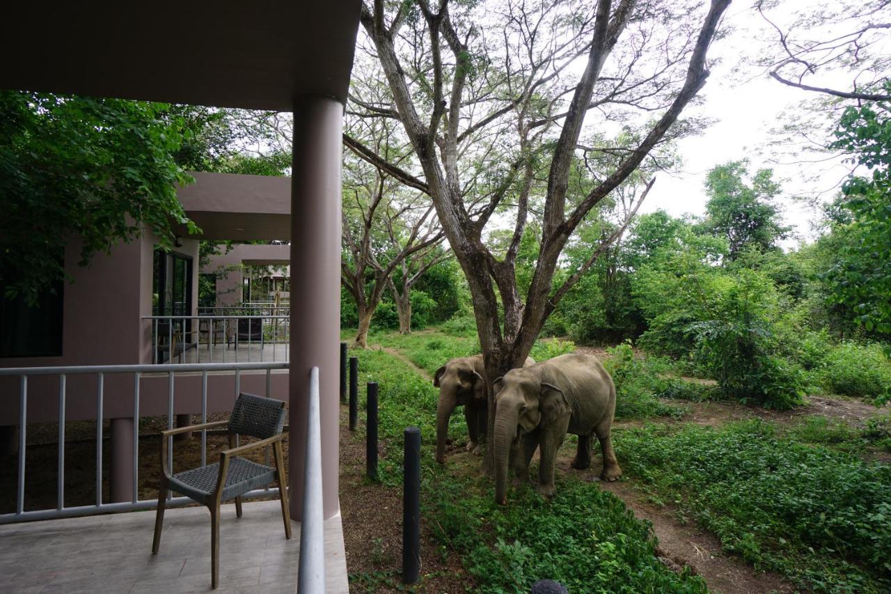 I Love Phants Lodge Ban Huai Thawai Zewnętrze zdjęcie