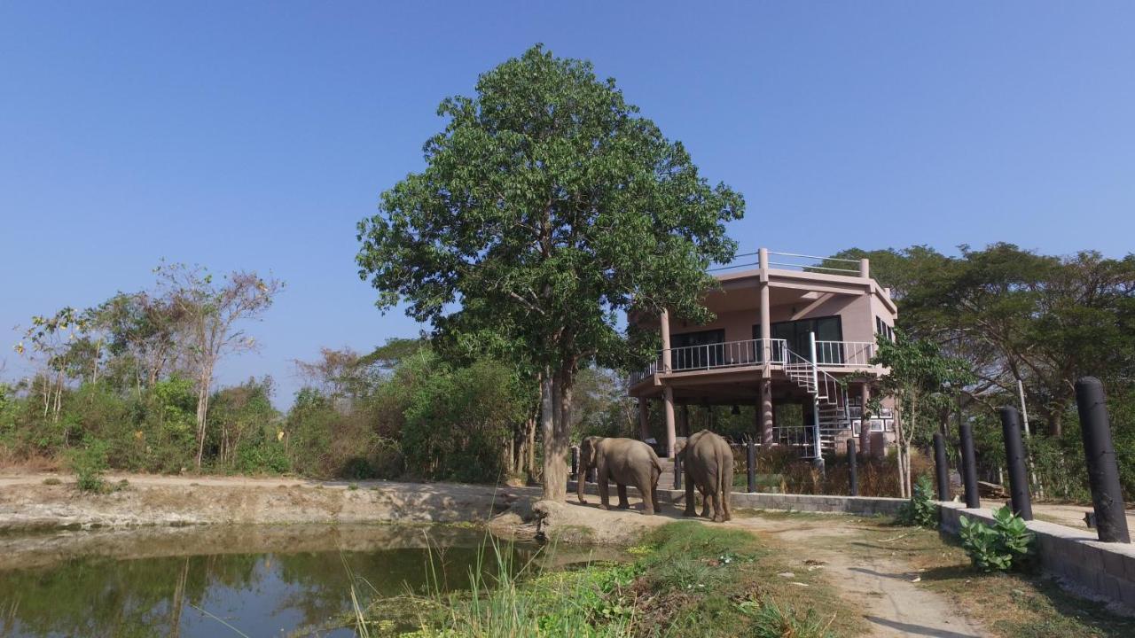 I Love Phants Lodge Ban Huai Thawai Zewnętrze zdjęcie