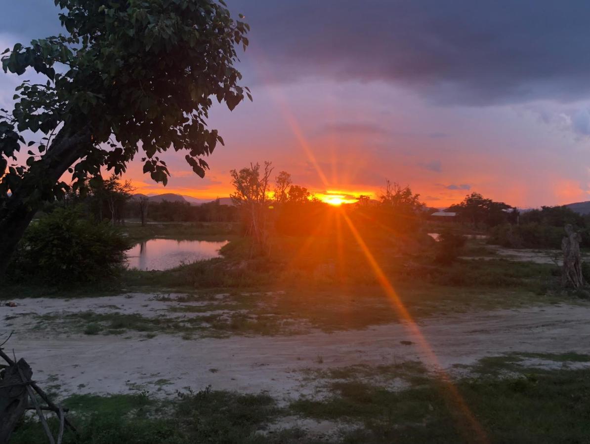 I Love Phants Lodge Ban Huai Thawai Zewnętrze zdjęcie