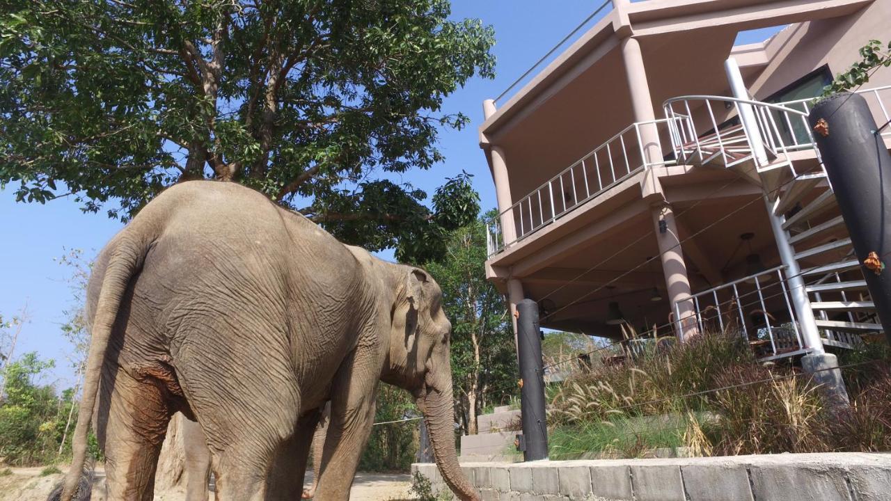 I Love Phants Lodge Ban Huai Thawai Zewnętrze zdjęcie