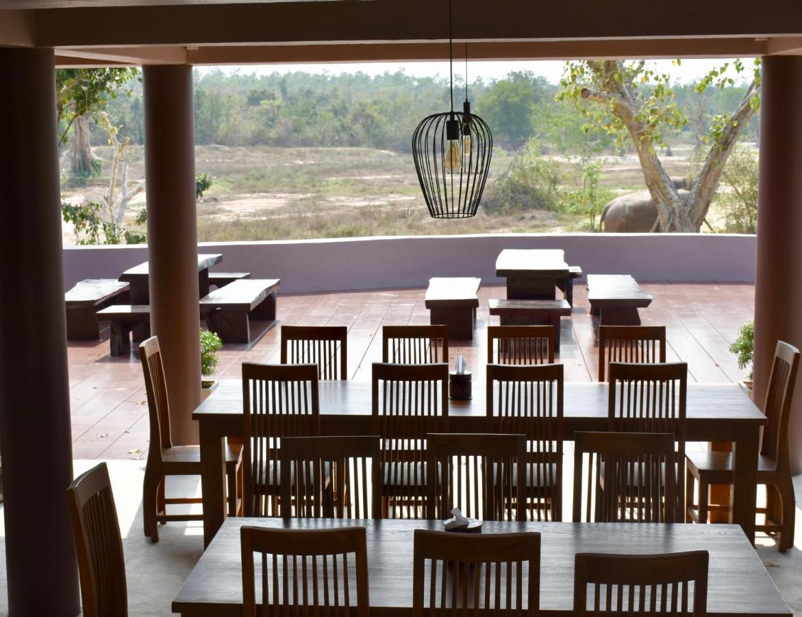 I Love Phants Lodge Ban Huai Thawai Zewnętrze zdjęcie