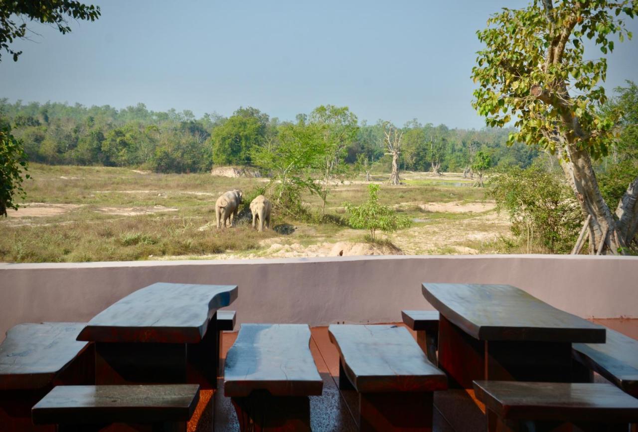 I Love Phants Lodge Ban Huai Thawai Zewnętrze zdjęcie