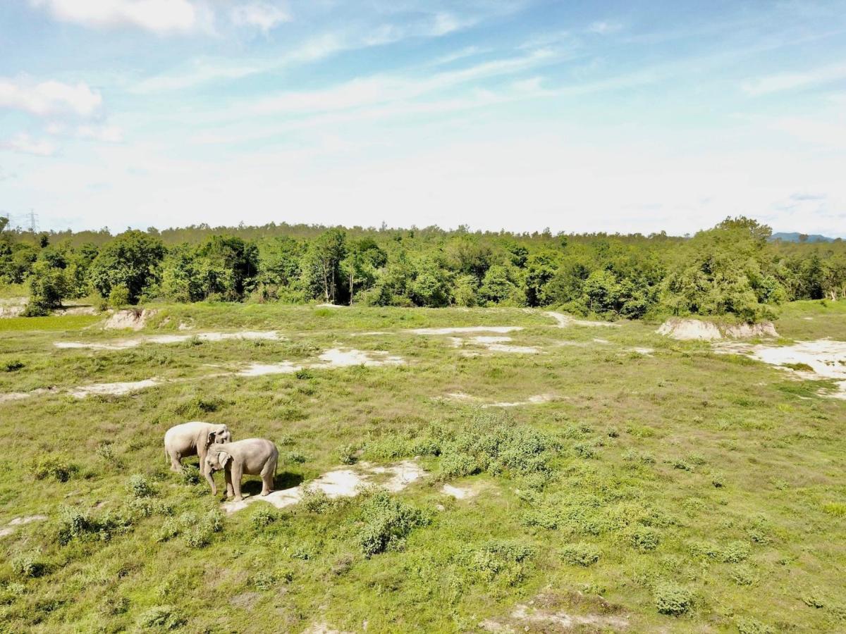 I Love Phants Lodge Ban Huai Thawai Zewnętrze zdjęcie