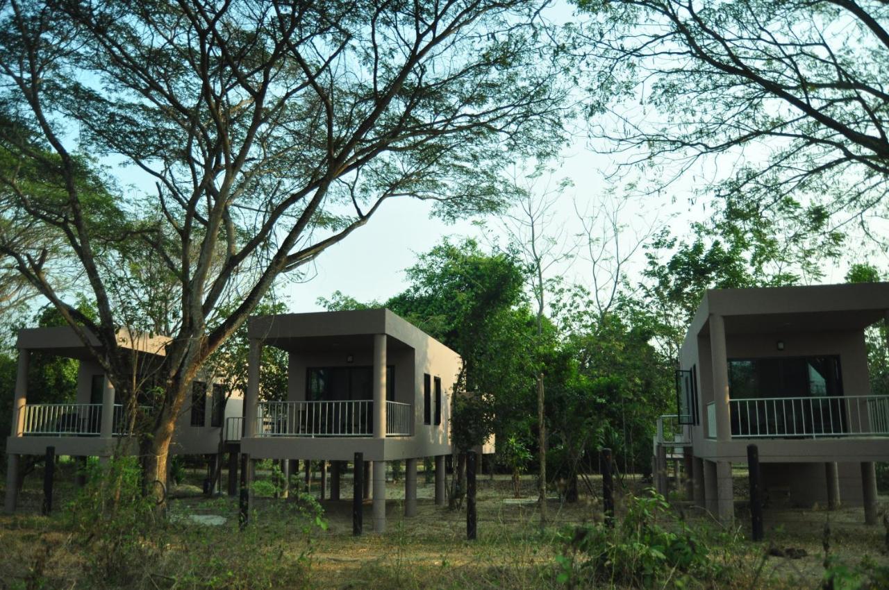 I Love Phants Lodge Ban Huai Thawai Zewnętrze zdjęcie