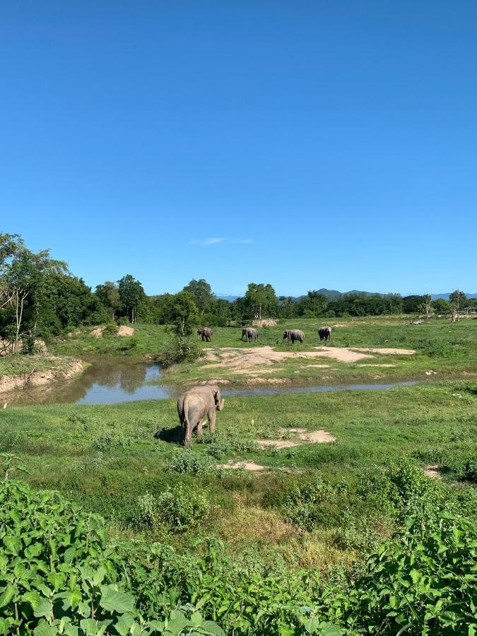 I Love Phants Lodge Ban Huai Thawai Zewnętrze zdjęcie