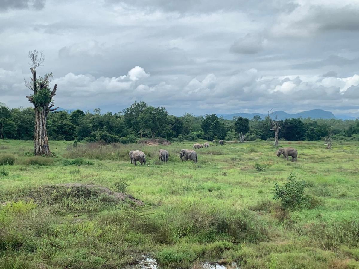 I Love Phants Lodge Ban Huai Thawai Zewnętrze zdjęcie