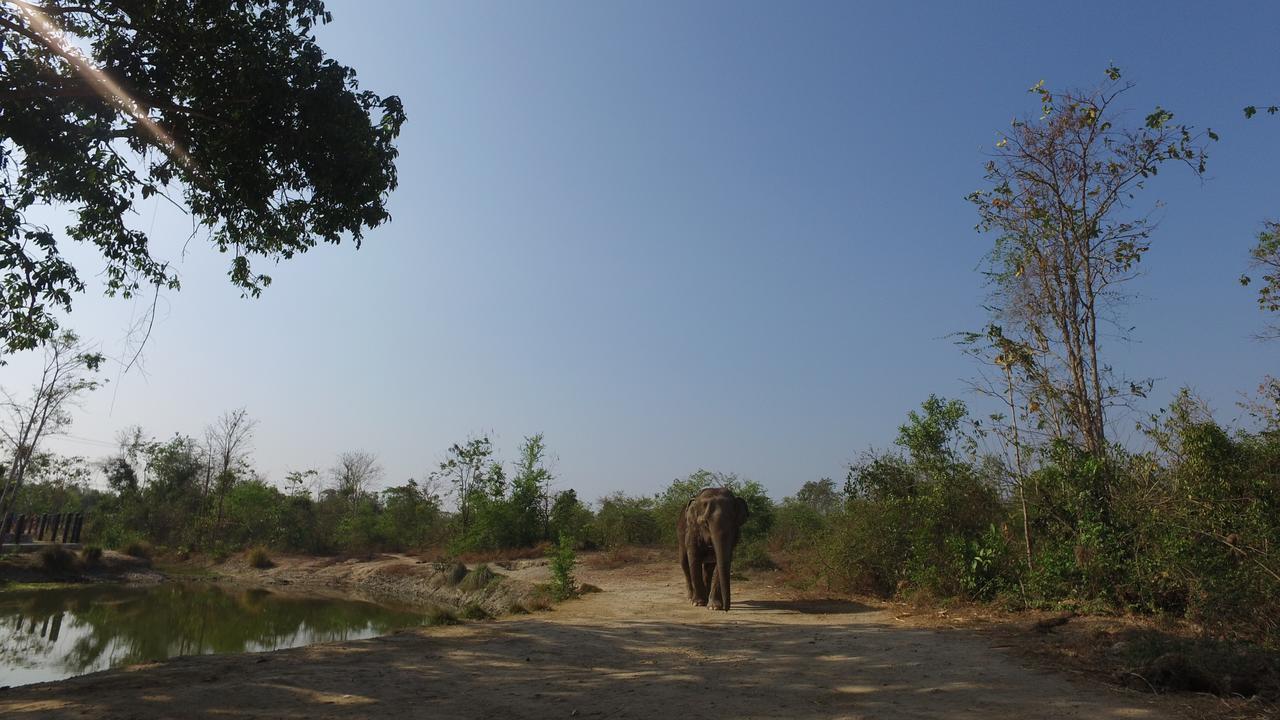 I Love Phants Lodge Ban Huai Thawai Zewnętrze zdjęcie