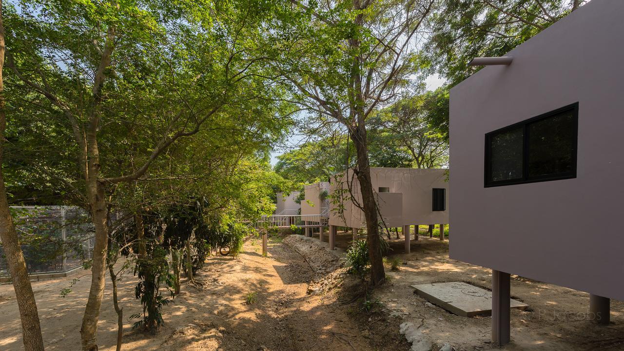 I Love Phants Lodge Ban Huai Thawai Zewnętrze zdjęcie
