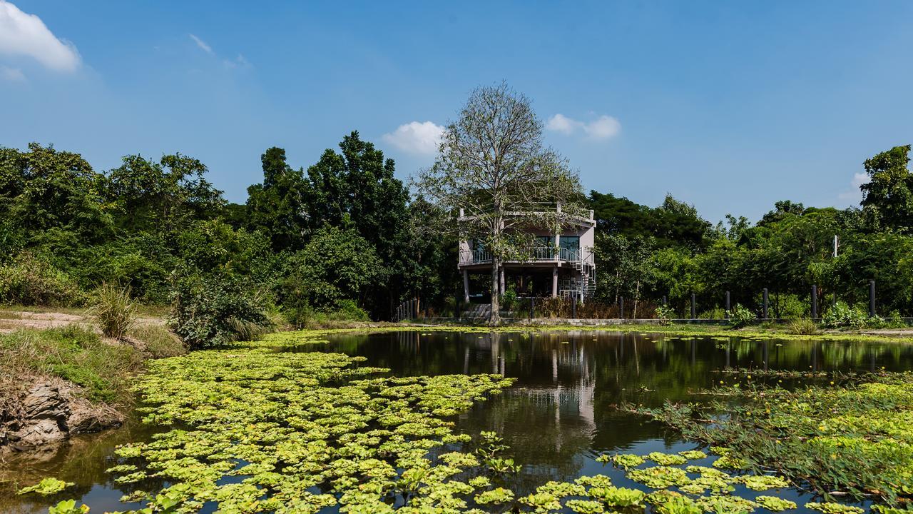 I Love Phants Lodge Ban Huai Thawai Zewnętrze zdjęcie